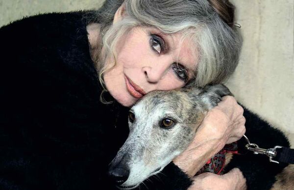 Murió Brigitte Bardot, el mito que transformó el cine y el activismo animal