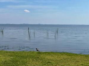 Alertan que el Lago Ypacaraí continúa sin ser apto para el baño