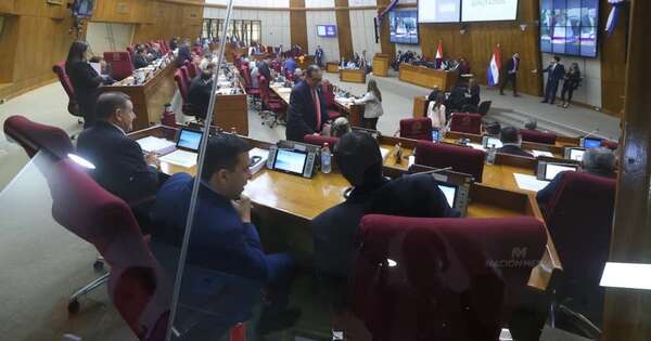 La Nación / Diputado evalúa gestión parlamentaria y reafirma apoyo al Gobierno