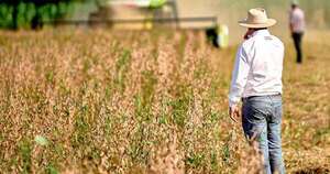 La Nación / Sector de la agricultura cierra un año positivo y mira al 2026 con optimismo, indicó titular del MAG