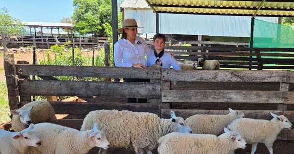 La Nación / Ovinocultura paraguaya busca ampliar su hato