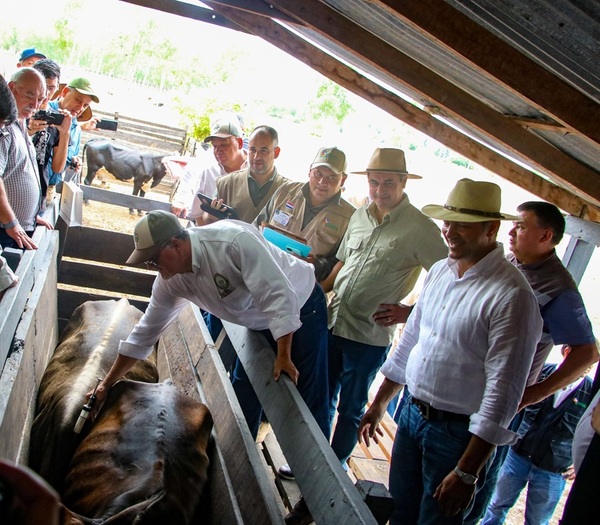 Ganaderos rechazan levantamiento de la aftosa con mensaje contundente al Senacsa: “La sanidad no admite imposiciones”