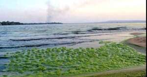 La Nación / El lago Ypacaraí no está habilitado para bañistas, recuerda el Mades