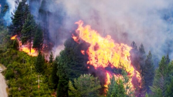 Dos incendios en la Patagonia afectan 3.250 hectáreas