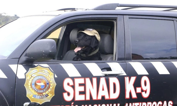 Rocky recibe homenaje tras ocho años de servicio como agente K-9 en la SENAD - OviedoPress