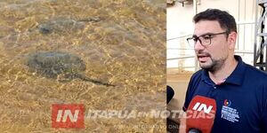 MUCHAS PERSONAS PICADAS POR RAYAS EN PLAYAS DE ENCARNACIÓN