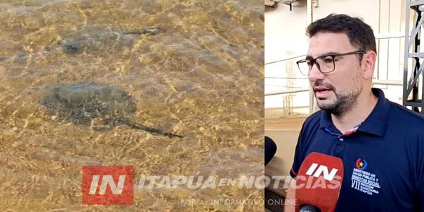 MUCHAS PERSONAS PICADAS POR RAYAS EN PLAYAS DE ENCARNACIÓN