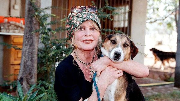 Popular / ¡La fortuna de la finada Brigitte Bardot será para los animales!
