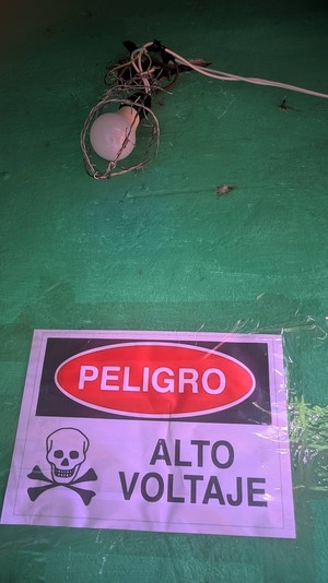 Popular / Ikuerái de los chespis: ¡Alambró y electrificó sus focos!