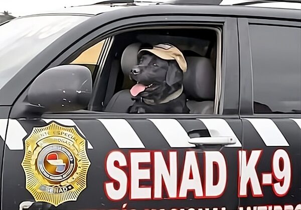 Rocky recibe medalla por su labor en el Servicio Canino al retirarse