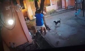 Arroyo Porã: Mujer sup. vive bajo amenazas de muerte por parte de su ex que presuntamente no acepta la separación