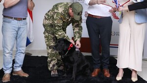 Video: Rocky, el can antidroga que fue condecorado en Asunción por su rol clave en la Senad