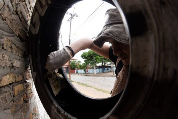 Ante aumento de notificaciones de dengue, instan a eliminar criaderos de mosquitos tras las lluvias