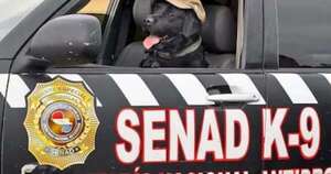 Diario HOY | Agente canino de la Senad se jubila con honores