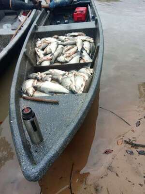 Pescadores de Ayolas enfrentaron un 2025 marcado por la crisis - Nacionales - ABC Color