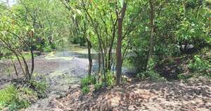 Diario HOY | Investigan causa de mortandad de peces en el río Tebicuarymí