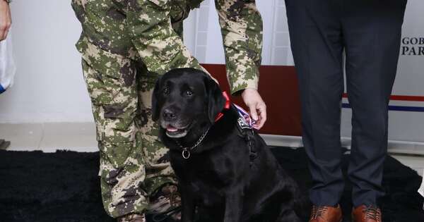 Diario HOY | Condecoraron al agente canino Rocky, tras 8 años de servicio detectando drogas