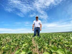 Estancia Carla María: soja certificada que convive con biodiversidad - Empresariales - ABC Color
