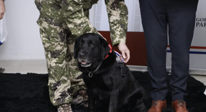 Premian a Rocky, el perro antidrogas, por servicio en Asunción