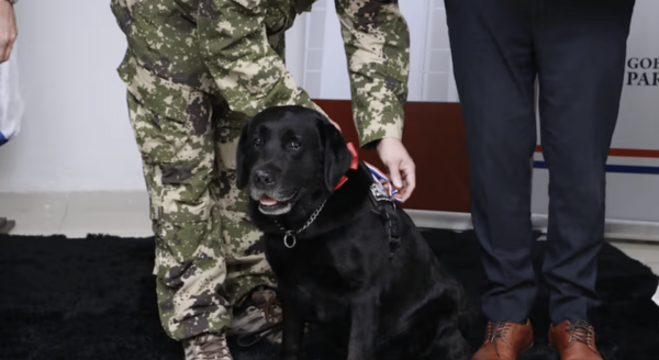 Premian a Rocky, el perro antidrogas, por servicio en Asunción