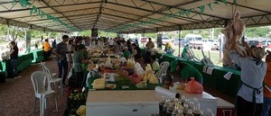 MAG impulsa ferias de agricultura familiar para estas fiestas - ADN Digital