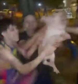[VIDEO] "Esto no es festejo, es crueldad contra un chanchito"