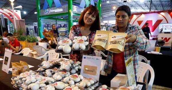 La Nación / Formalización de mipymes se acelera con emisión automática de cédulas del MIC