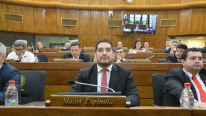 Diputado cuestiona destino de los fondos de IPS