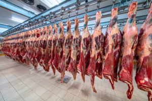 Salvaguarda de China sobre carne vacuna regiría desde el 1° de enero