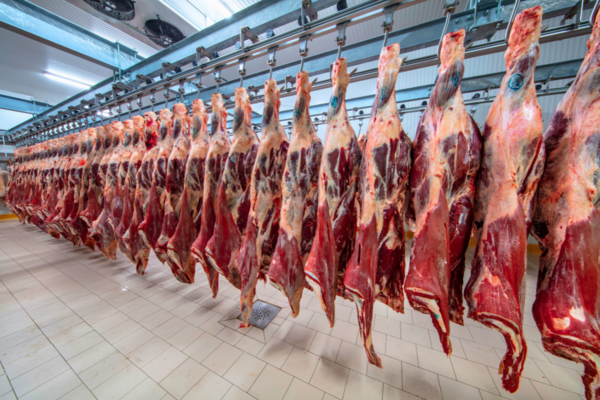 Salvaguarda de China sobre carne vacuna regiría desde el 1° de enero