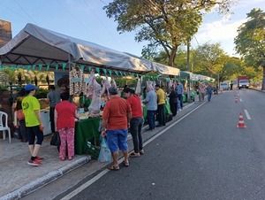 Ferias "Ary Paha": Productos del campo para el Año Nuevo