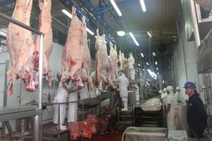 Un informe oficial advierte alta concentración en el mercado de la carne bovina en Paraguay - El Trueno