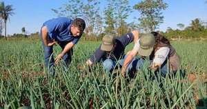 La Nación / Hortalizas generan más de G. 12.800 millones en Itapúa