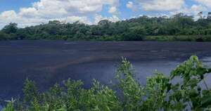 La Nación / Fiscal investiga mortandad de peces en el río Tebicuarymí