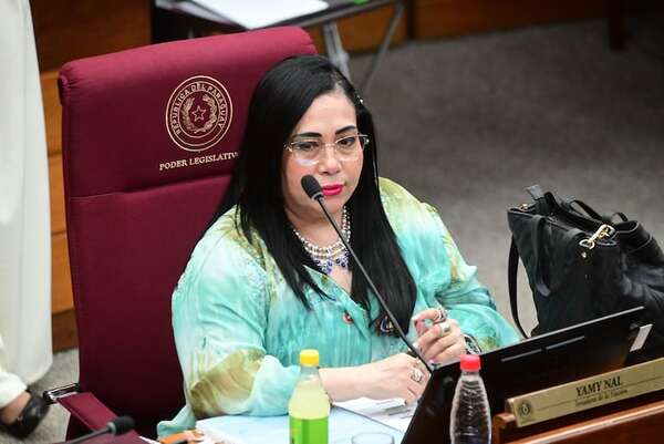 Yamy Nal presenta acción de inconstitucionalidad y exige su restitución en el Senado - Política - ABC Color