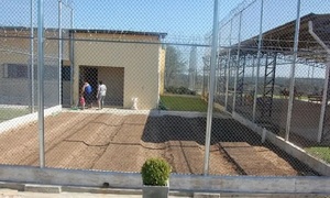 Justicia esclareció crimen ocurrido en Paraguarí y condenó a funcionaria policial a 16 años de prisión - OviedoPress