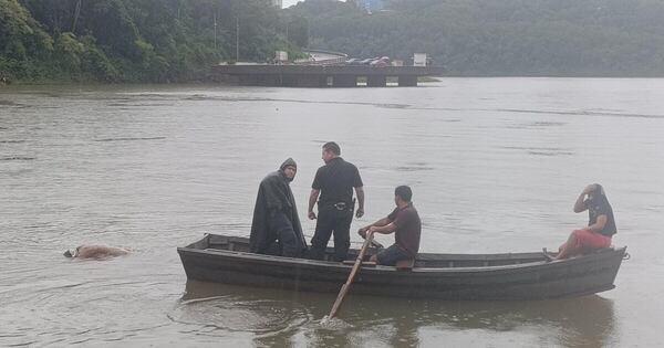 La Nación / Hallan cadáver en el río Paraná cerca del Puerto Histórico de Pdte. Franco