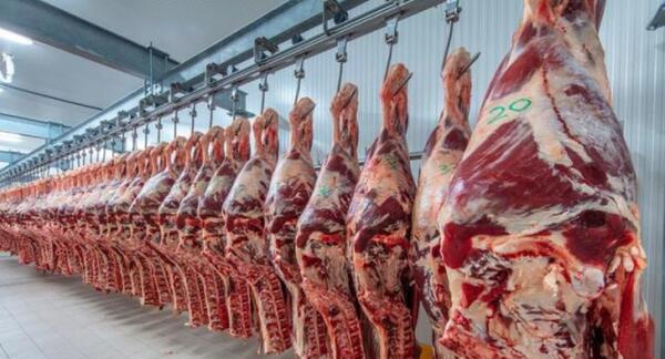 Tres frigoríficos controlan el 70 % del negocio