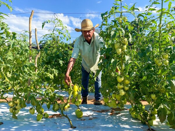 Agricultura familiar creció 23% y se prevé una producción récord de soja para el 2026