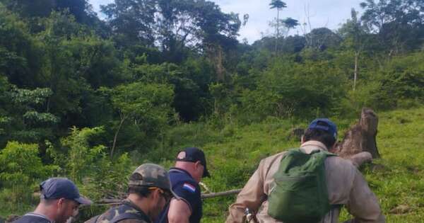 La Nación / Paraguarí: hallan en el monte a abuelita desaparecida