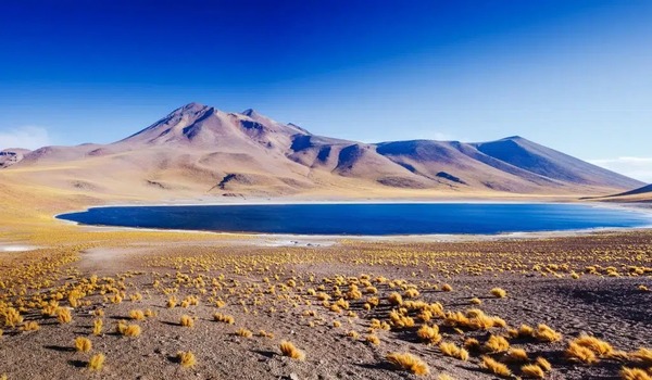 Desierto 23°S: Últimos días para postularse a la convocatoria