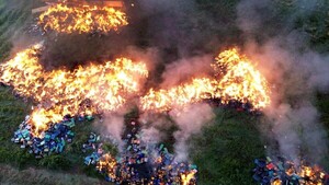 Senad resalta cierre de un año con duros golpes al crimen organizado