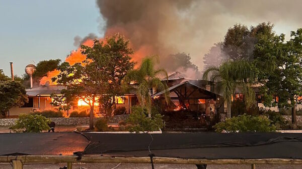 Turistas se tiran por ventanas para escapar de incendio en hotel de Uruguay - ADN Digital