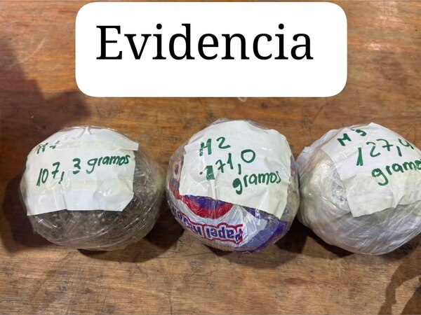 Incautan marihuana y municiones en la Penitenciaría Nacional de Tacumbú - Judiciales.net