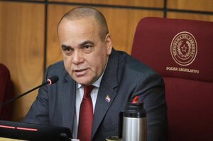 Bachi pretende bajar el receso parlamentario de tres meses a un mes - El Trueno