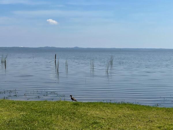 Advierten que recuperación del Lago Ypacaraí llevaría cuatro décadas pese a proyectos en marcha