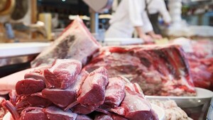 Sin alivio real: los alimentos subieron 7,1% en 2025 pese a baja inflación