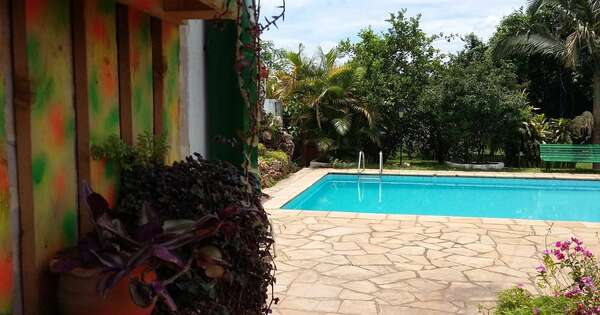 Diario HOY | Verano seguro: recomiendan disfrutar de la pileta con cuidado