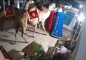 Los Reyes Magos ya pueden llegar por whatsapp