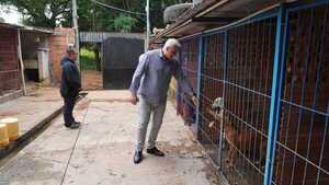 Mascotas y explosivos: Guía de emergencia y sanciones